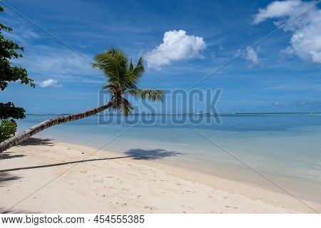 Mahe Seychelles, A Tropical Beach With Palm Trees, And A Blue Ocean At Mahe Seychelles. Anse Royale 