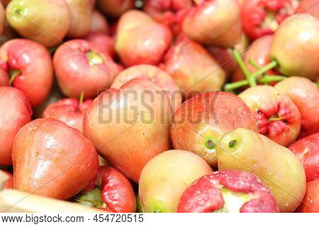 Java Apple Stock On Farm