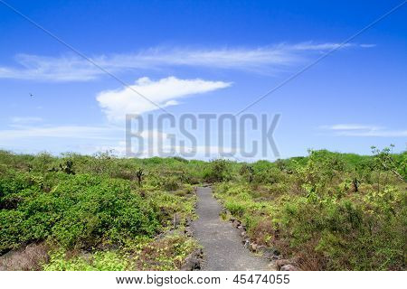 View of the walking tourist trail in the Galapagos