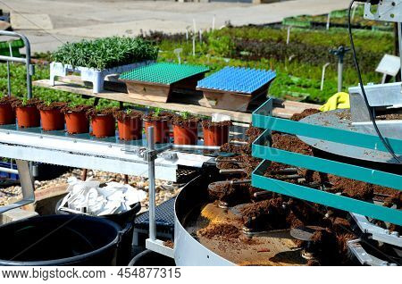 The Planting Machine Is Used For Precise Filling Of Flower Pots With Soil And The Worker Sends The P