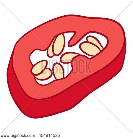 Pepper Slice Icon Outline, Hand Drawn Vector. Vegetable Chili. Paprika