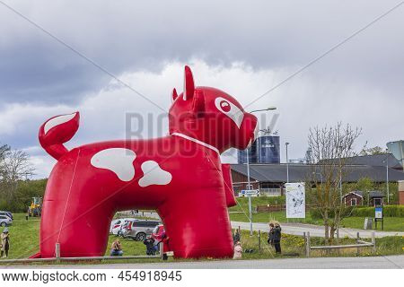 Beautiful View Of Temporary Outdoor Parking Place For Event. Huge Inflated Plastic Arla Red Caw Figu