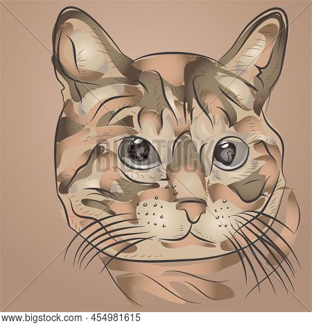 Cartoon Cat Drawing Vector & Photo (Free Trial) | Bigstock