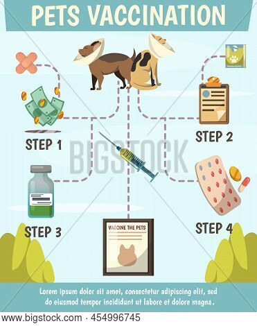 Pets Compulsory Vaccination Orthogonal Flowchart Poster With 4 Steps Preventive Care For Optimal Ani