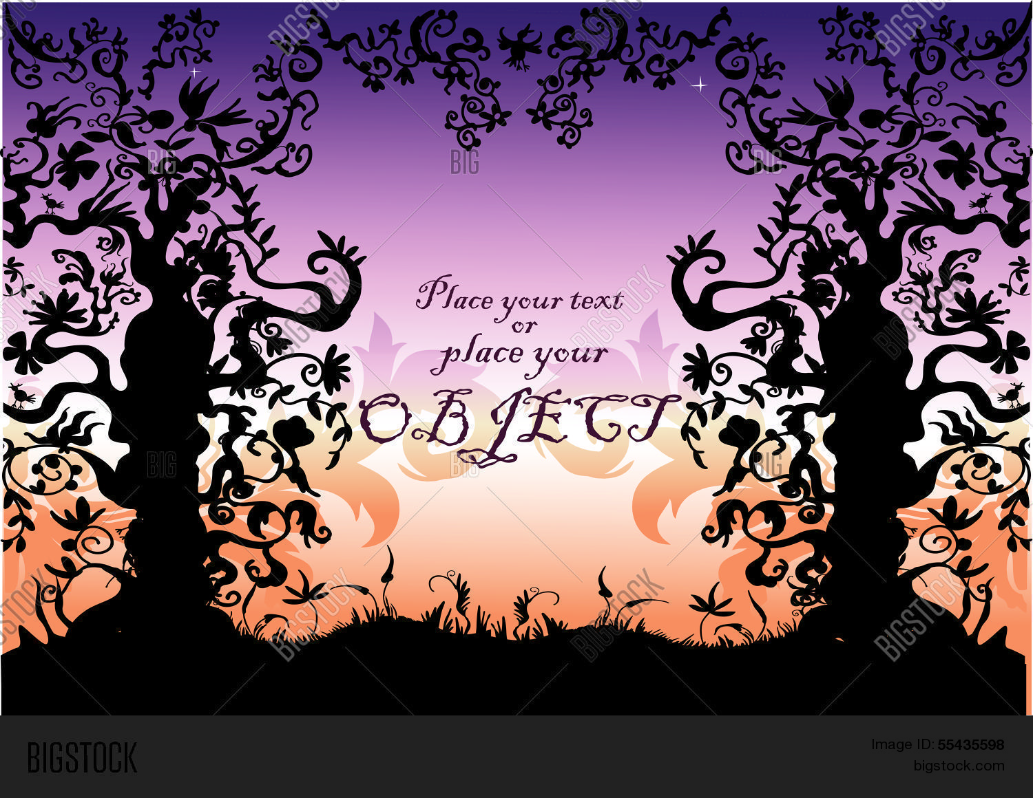 Image Preview
