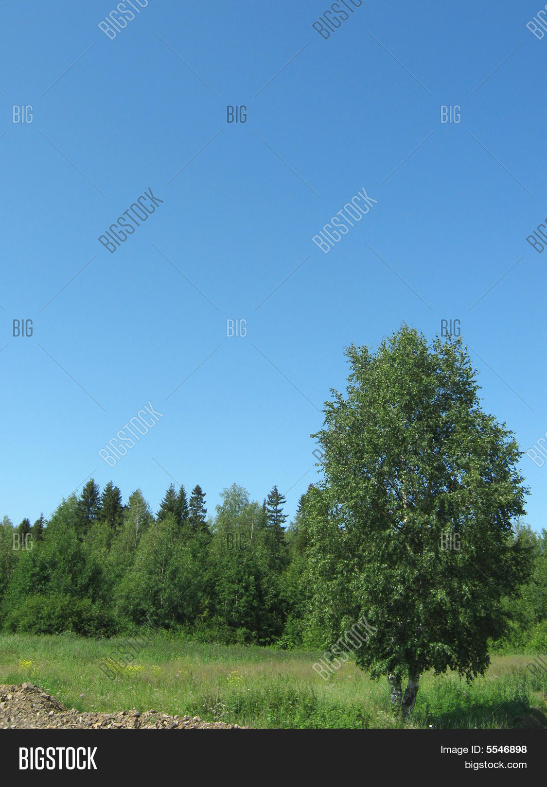 Image Preview