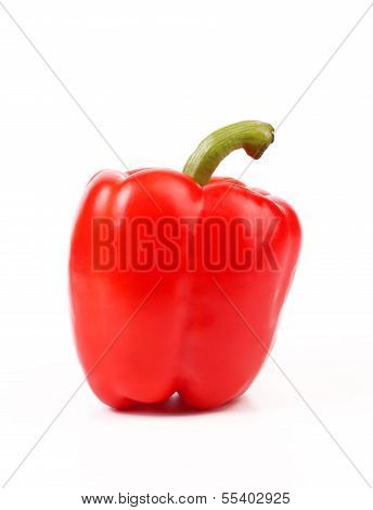 Red pepper with tail.