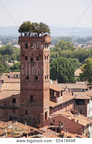 Guinigi Tower, Lucca