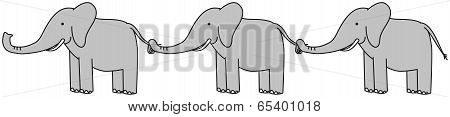Happy Elephants