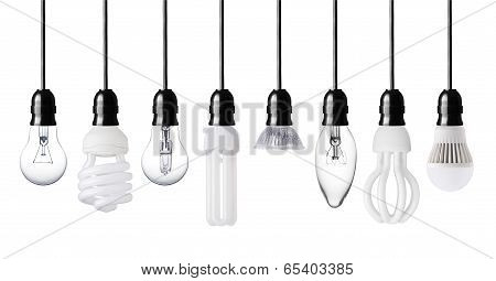 Different Light Bulbs