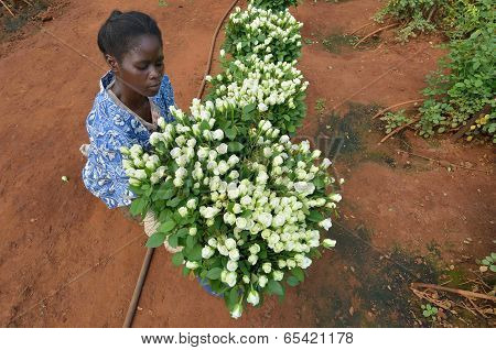 african woman