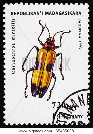 Postage Stamp Malagasy 1994 Chrysochroa Mirabilis, Insect