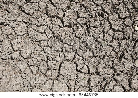 Texas Drought