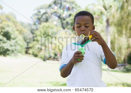 Little boy blowing bubbles in the park on a sunny day