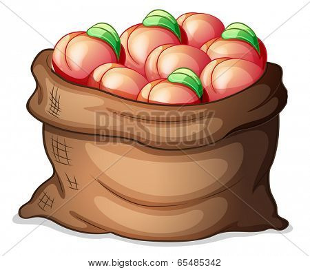 Illustration of a sack of apples on a white background