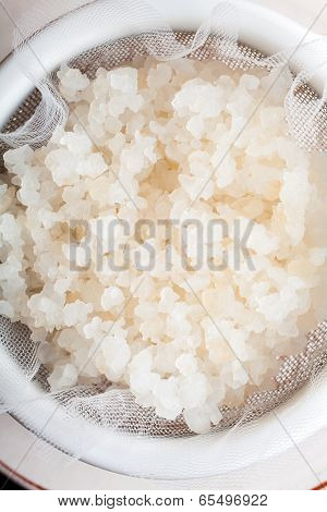 Water Kefir Grains
