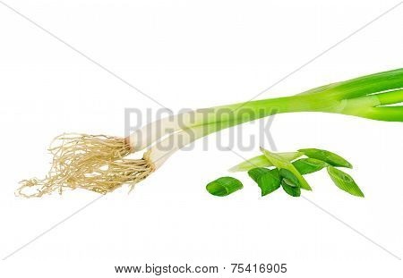Welsh onions
