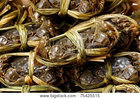 Shanghai crabs