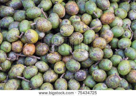 Hog Plum ( Spondias pinnata Kurz )