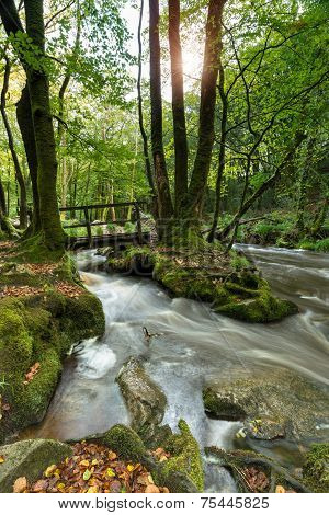 Golitha Falls On Bodmin Moor