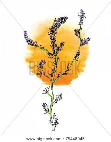 green branch of plant with flowers and sun, vector illustration