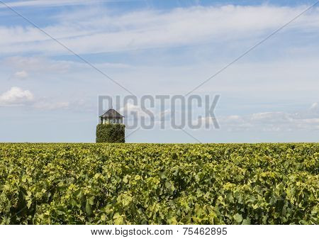 Tower In Vinyard Saint Seurin De Cardourne