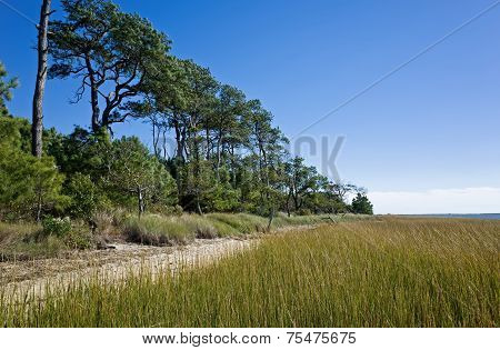 Protected Shoreline