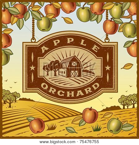 Apple Orchard