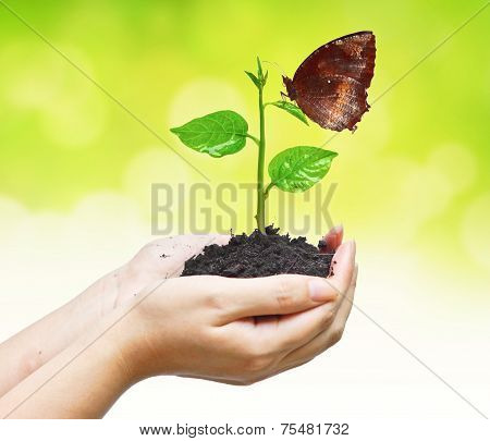 Love nature
