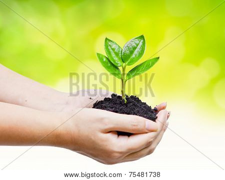 Love nature