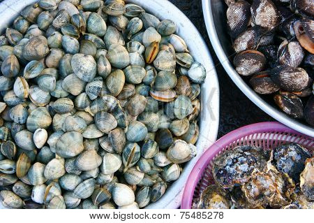 Fresh Seafood, Vietnam Fish Market, Nutrition Food