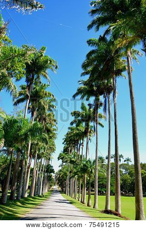 Codrington College