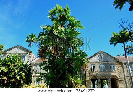 Codrington College