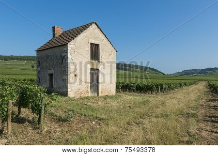 Vineyard House In Beaune