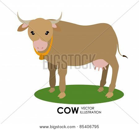 India design over white background vector illustration