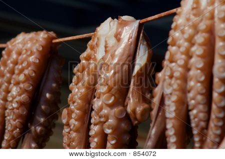 Krake