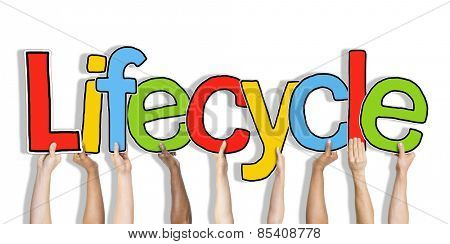 Lifecycle Arms Raised Colorful Multi Ethnic Live Concept