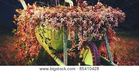 green rustic wheelbarrow full of colorful flowers on a grass lawn
