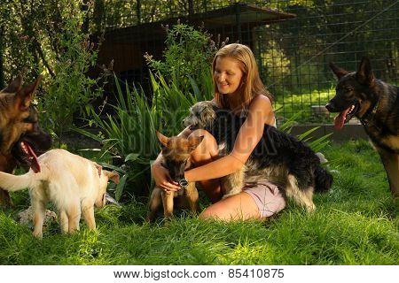 woman with blonde hair is playing lovingly with a bunch of dogs in a backyard garden with grass