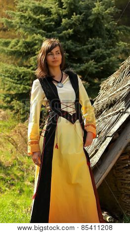 beautiful girl in a historical costume posing in a wild landscape with a wooden log