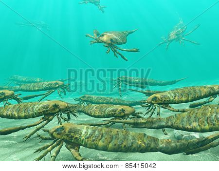 Eurypterids Gathering To Spawn