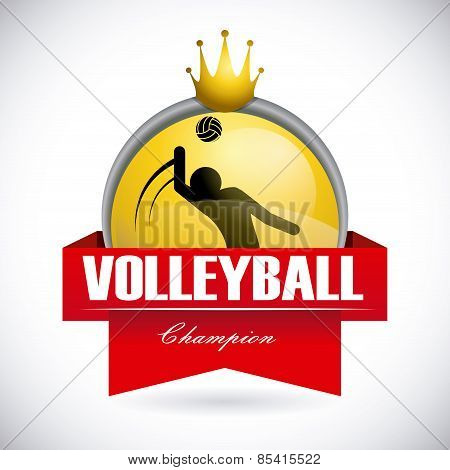 volleyball design over gray background vector illustration