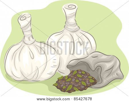Illustration of a Group of Open and Unopened Poultice 