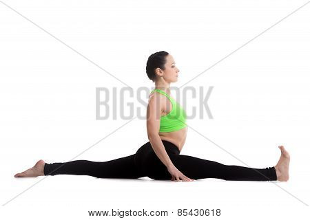 Monkey Yoga Pose