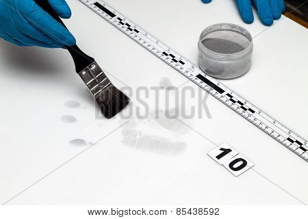 Fingerprint