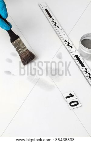 Fingerprint