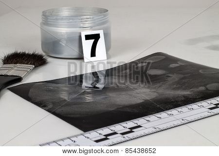 Fingerprint