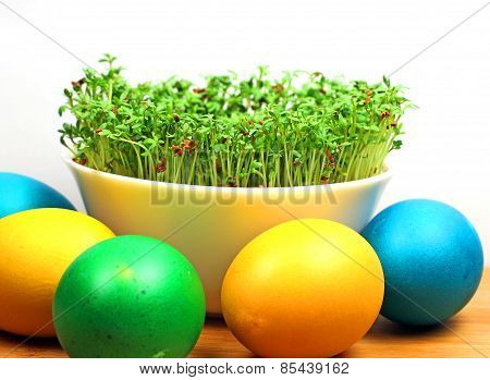 cuckooflower and easter eggs