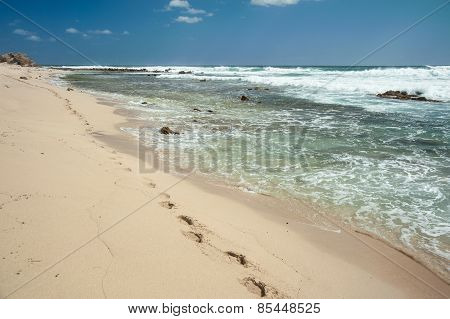Along The Beach