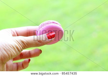 Magaroon In Hand On A Background Of Green Grass